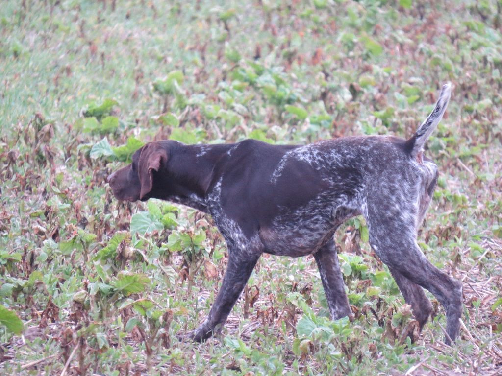 Publication : Du Clos Saint Emilion