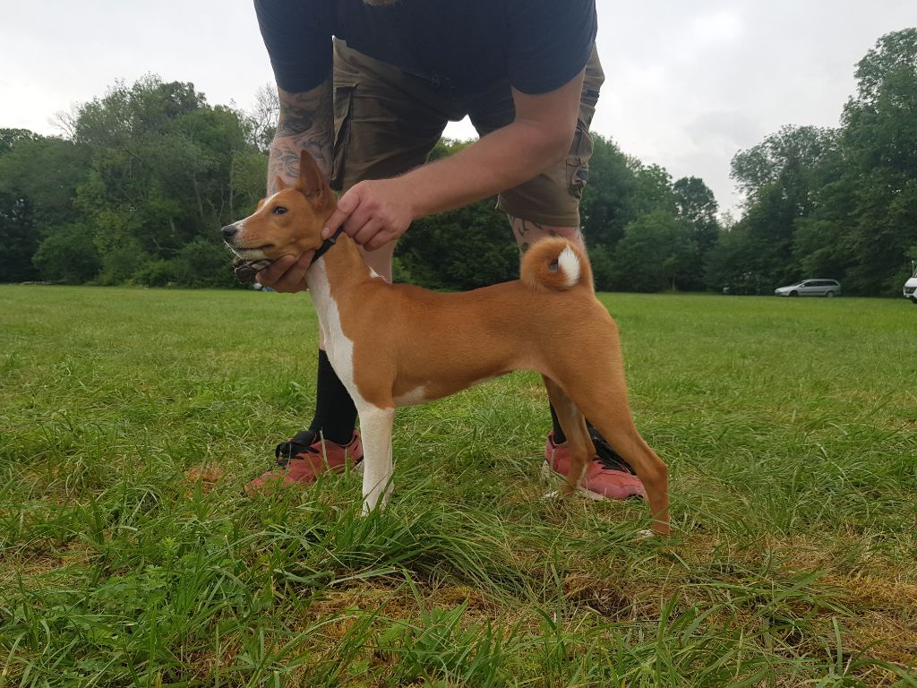 Publication : Mifugo Peponi