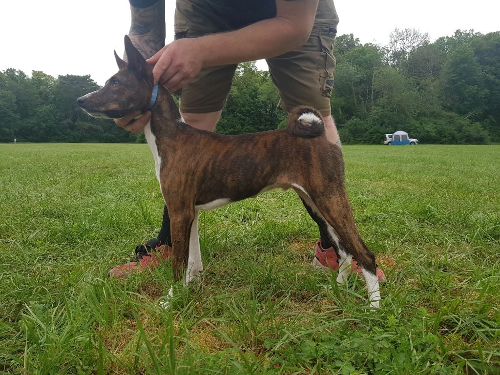 Publication : Mifugo Peponi 