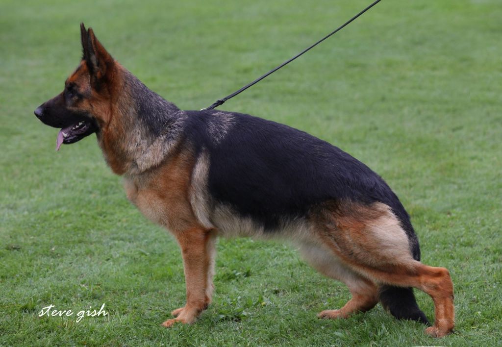 Publication : du val d'Anzin Auteur : steve gish