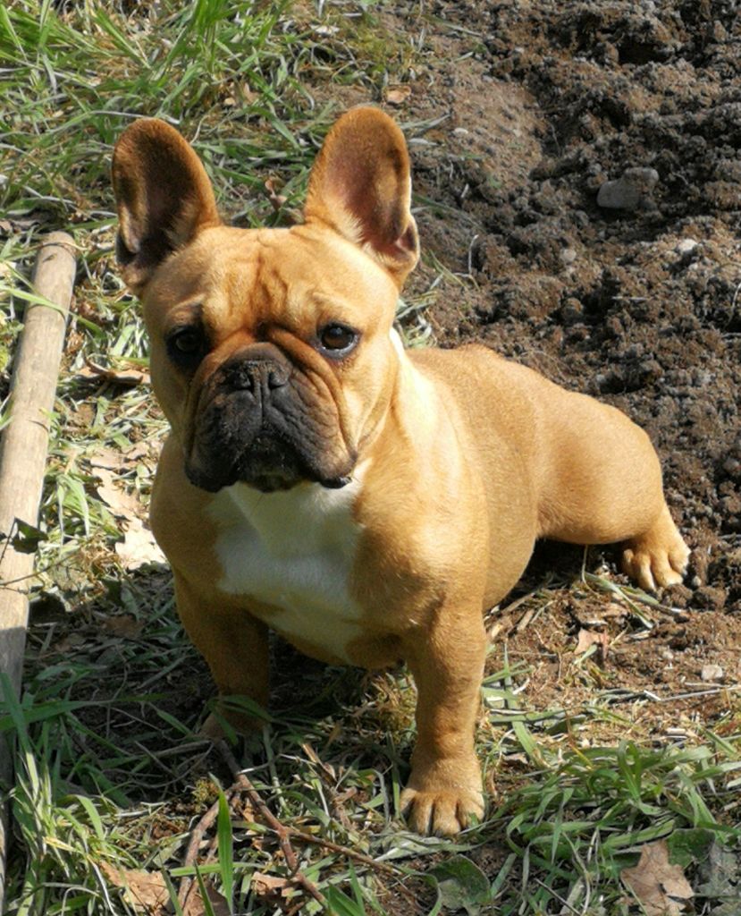 Nina Of little by little