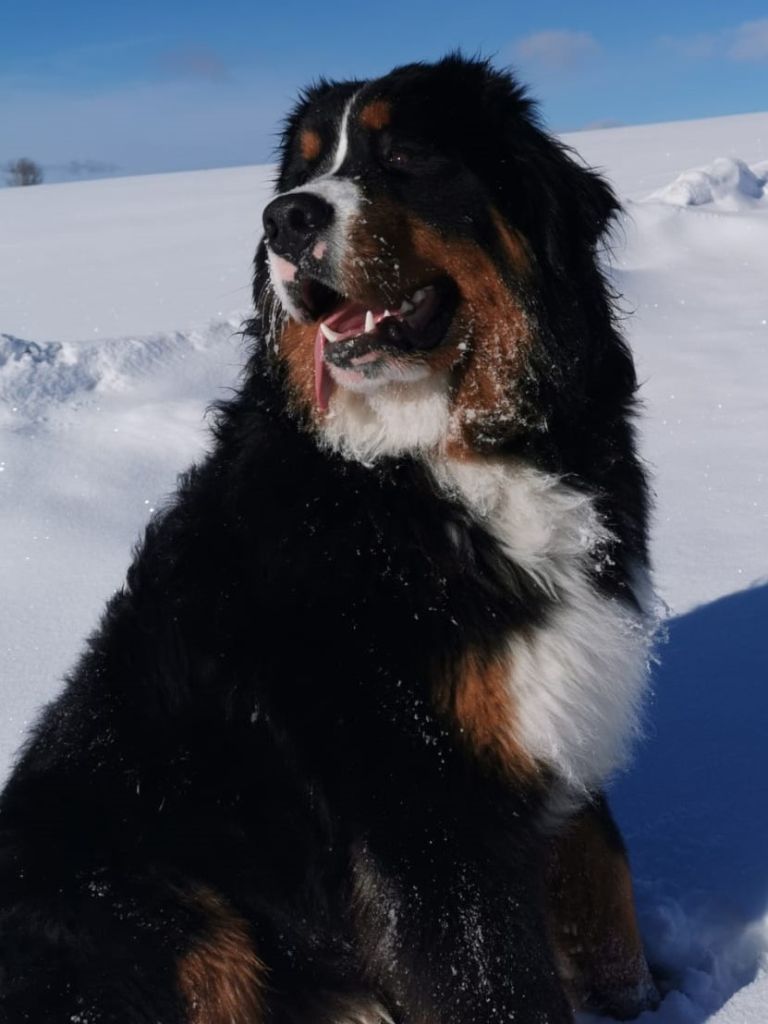 Publication : du pays Maîchois