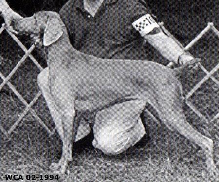 starbuck's Katakam joyride