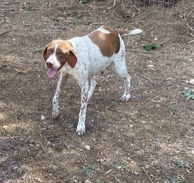 Publication : de Saint Montange 