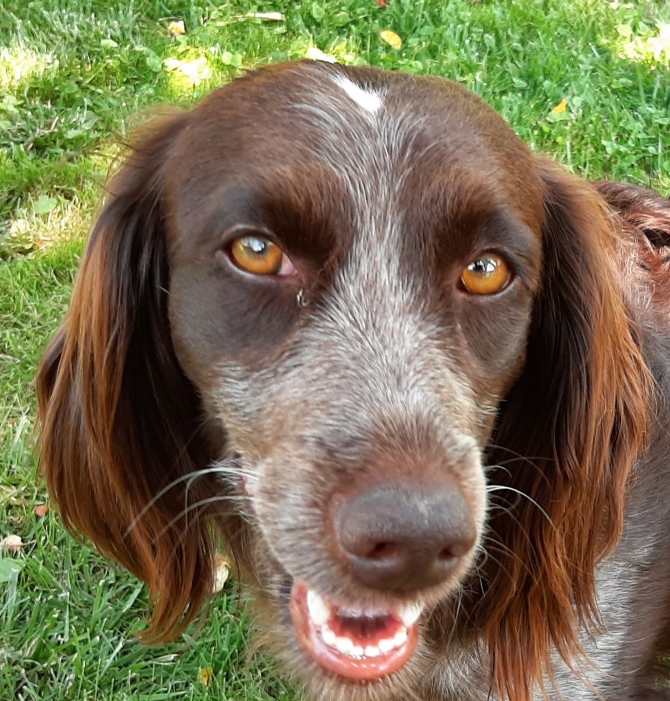 Publication : De La Grande Genetiére 