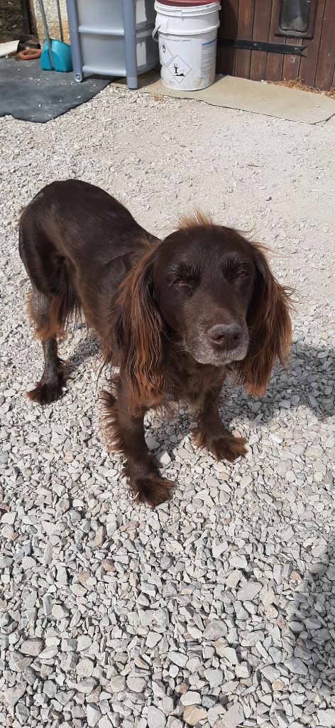 Publication : De La Grande Genetiére 