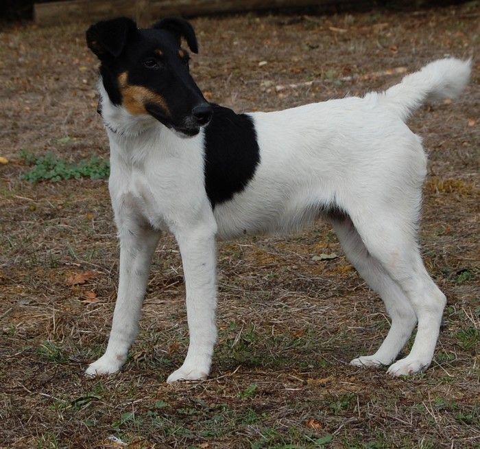 Publication : (Sans Affixe)