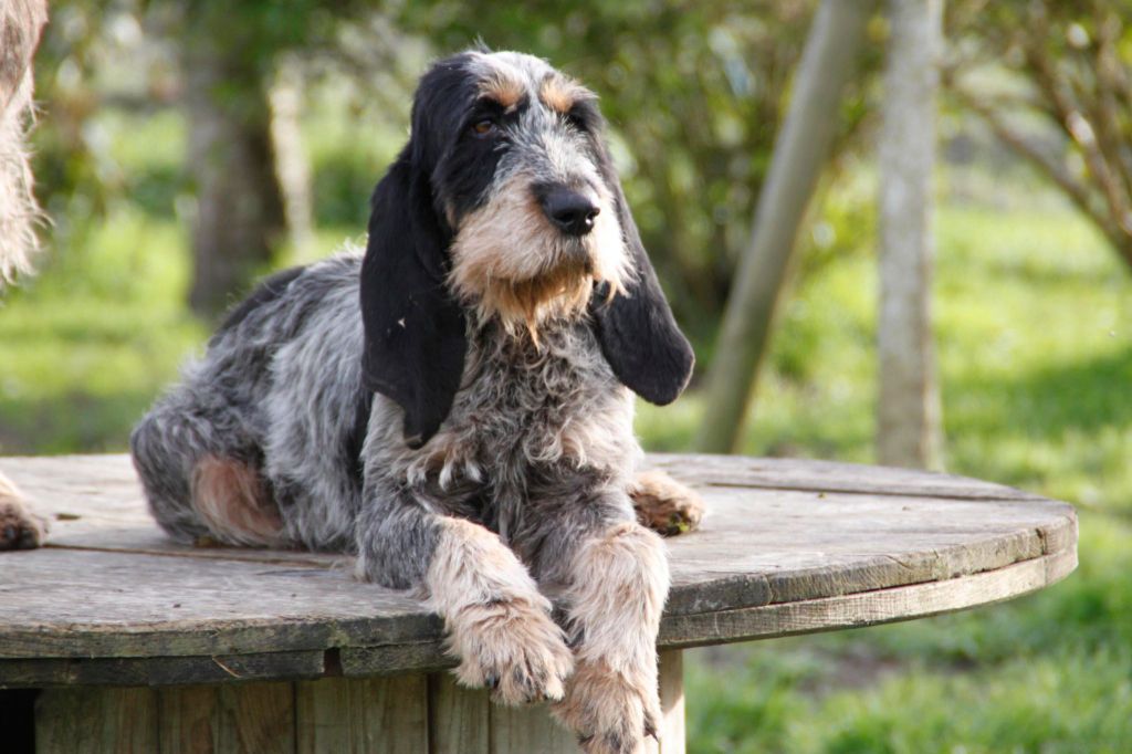 Publication : Du Moulin De Faneau 