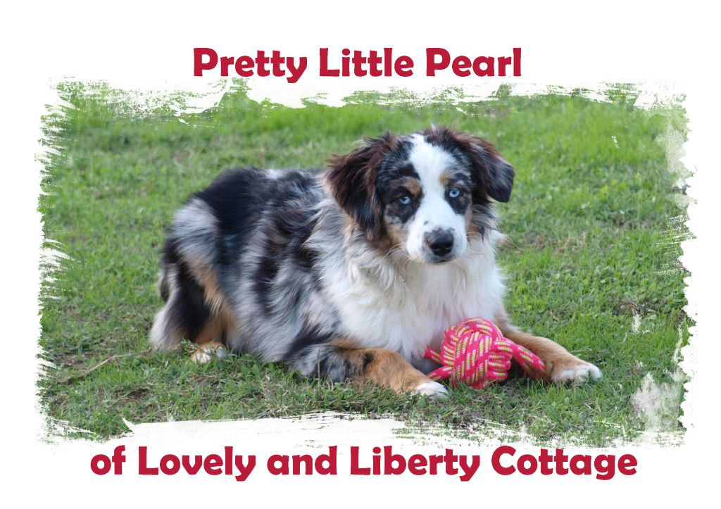 Publication : Lovely And Liberty Cottage 