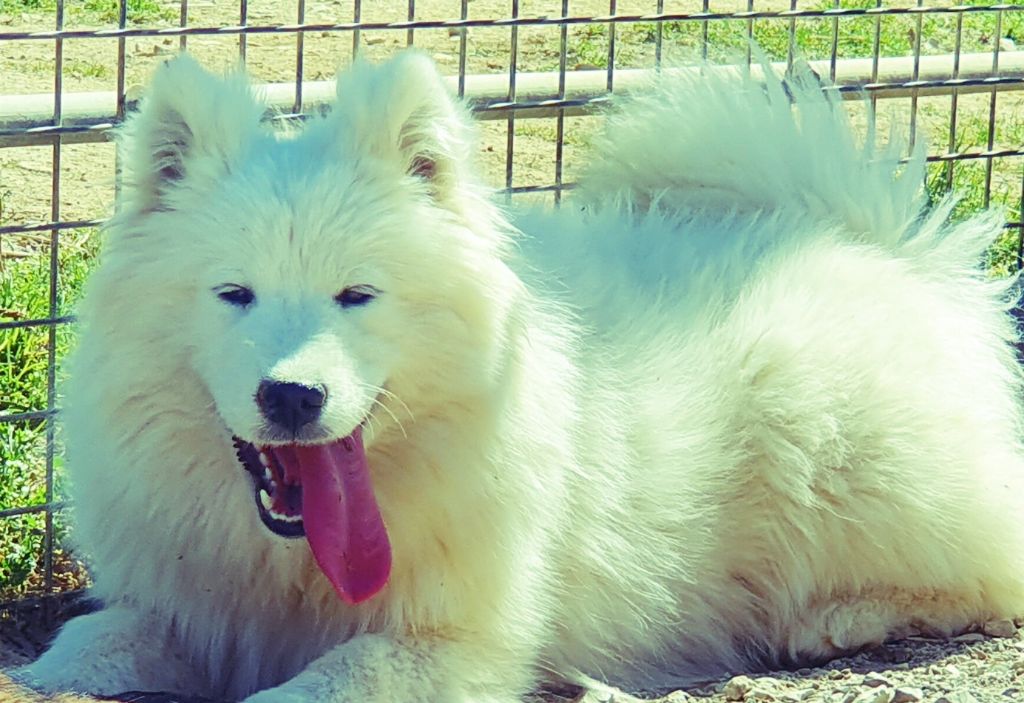 Publication : de la vallée de l'empereur 