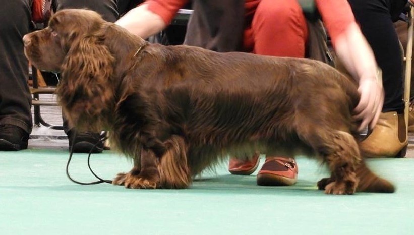 CH. Brezhnev labry berry