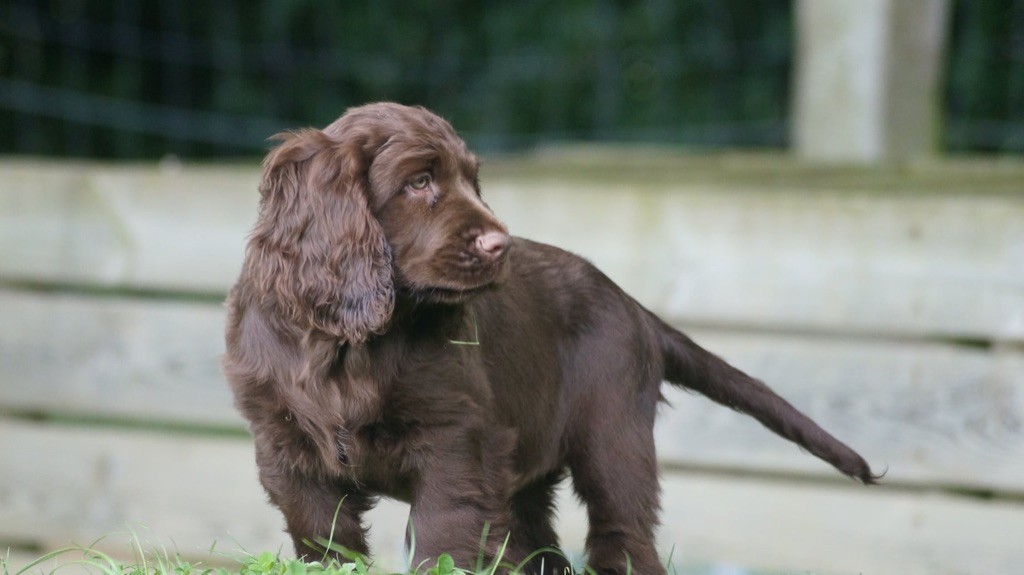 Publication : Des Terres De Beaulieu 