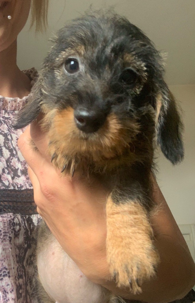 Publication : in the Purple Moon Auteur : Garcia Emilie