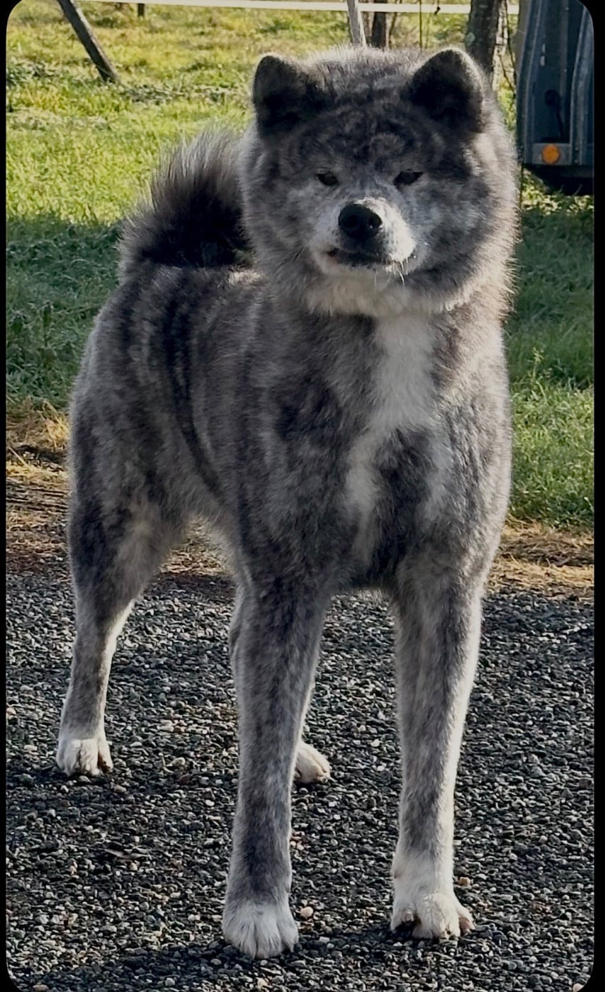 Publication : du Clos des Chtis Auteur : team du clos des Chtis