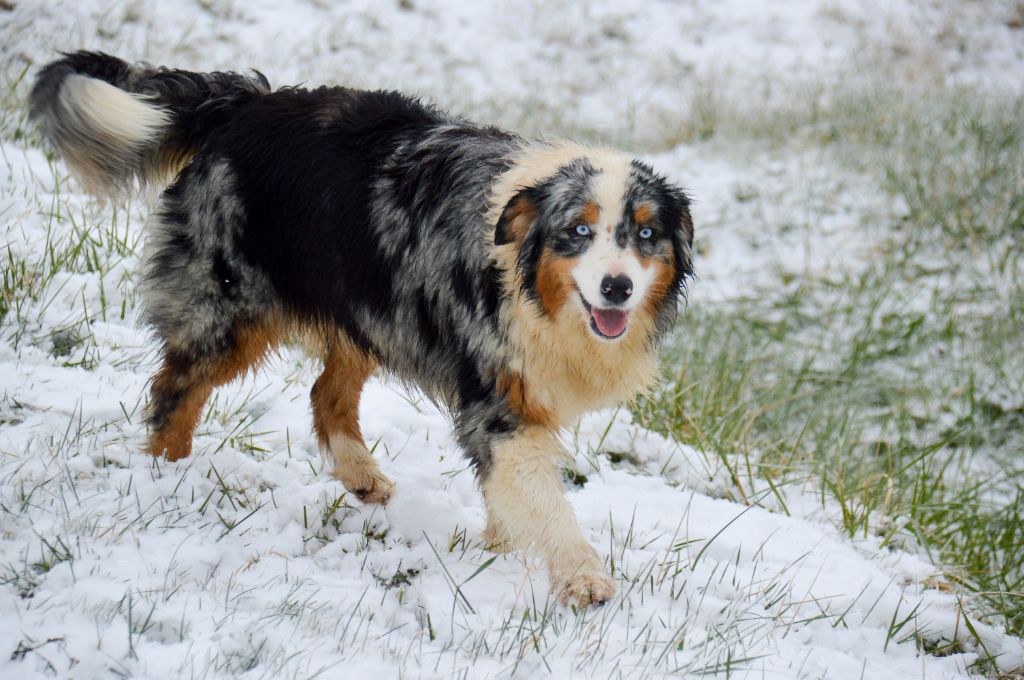 Publication : de L'Igloo des Sables