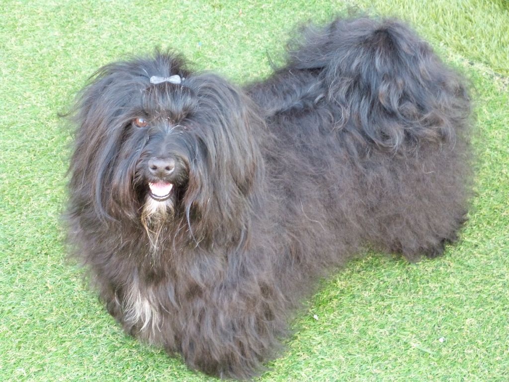 Publication : De La Vallée Aux Prêtres Auteur : Séverine MORLONG