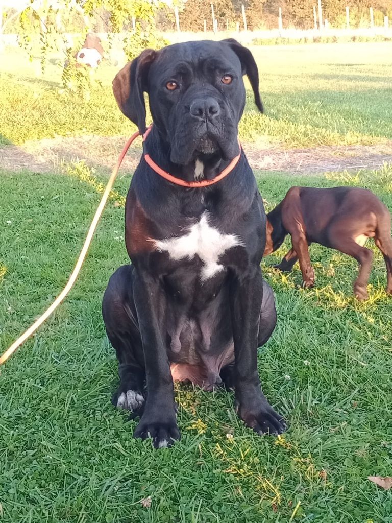 Publication : Des Couleurs Maloya 