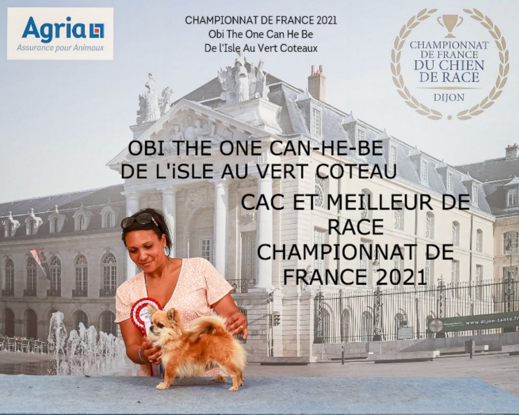 Publication : De L'isle Au Vert Coteau Auteur : AGRIA -Championnat de France2021