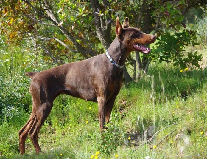 Publication : Bakara's Auteur : CÃ©cile DUFLOS