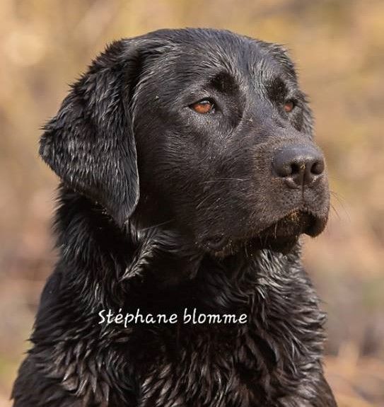 Publication : Du Domaine De Biazak 