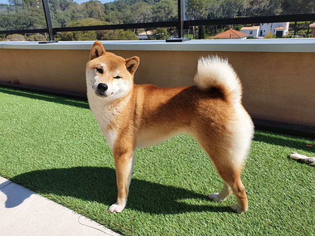 Publication : de dame nature Auteur : Oki Kara