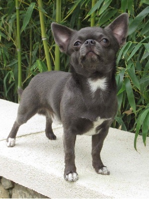 Poséidon Du Royaume D'Anastasia