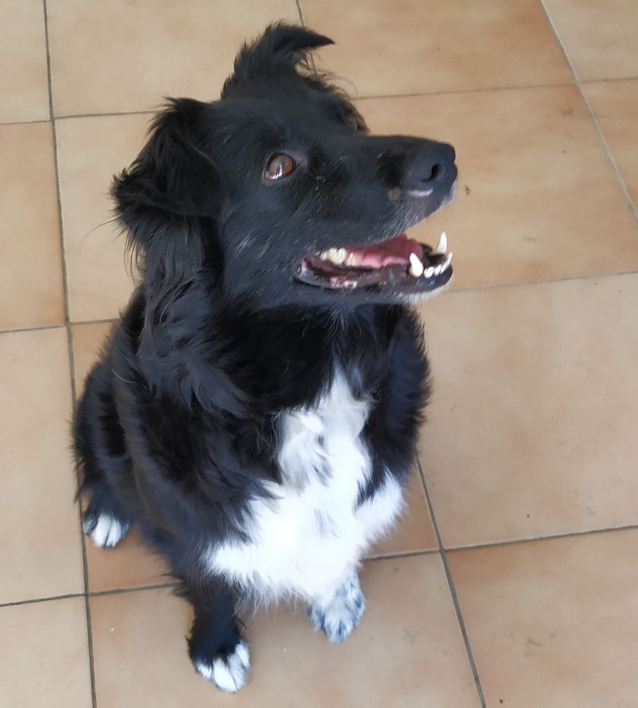 Publication : Du Sanctuaire De Mandarine