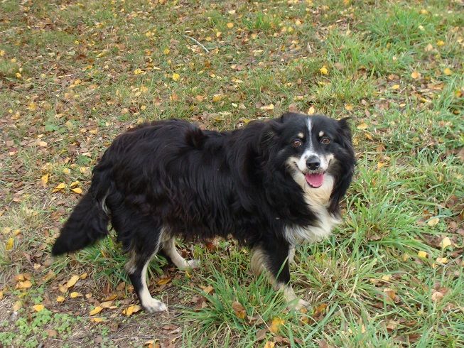 Lovely Titre Initial