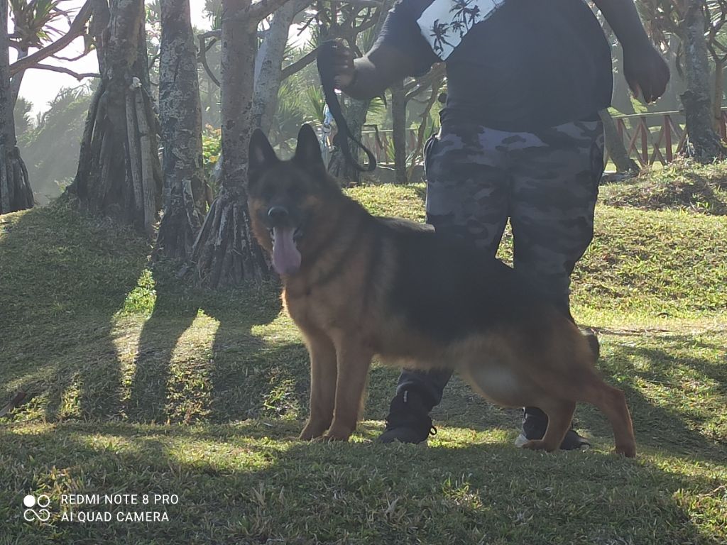 Publication : De la ferme neuland Auteur : Grégory.C