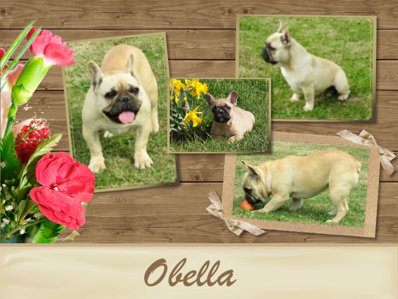 Obella (Sans Affixe)