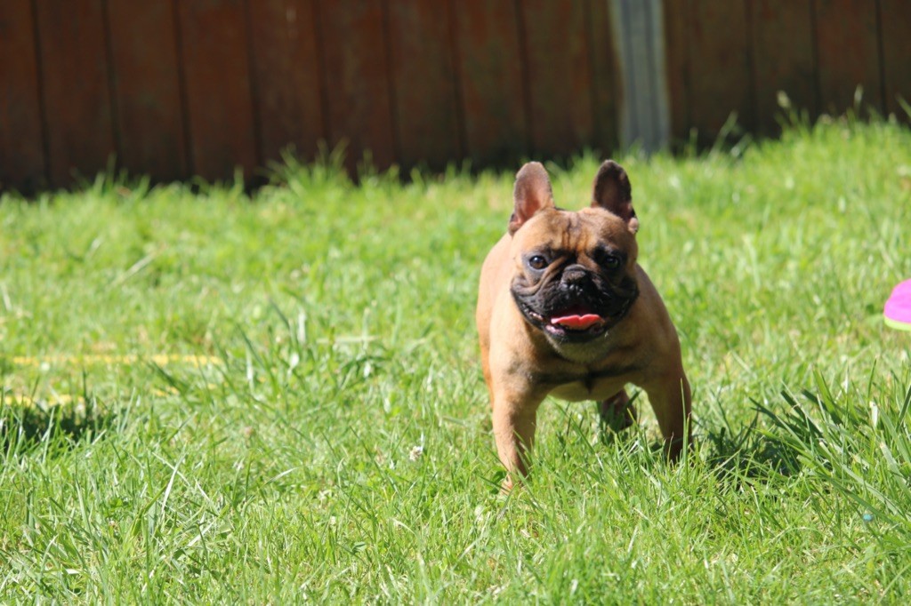 Publication : Sweet Heart Secret's