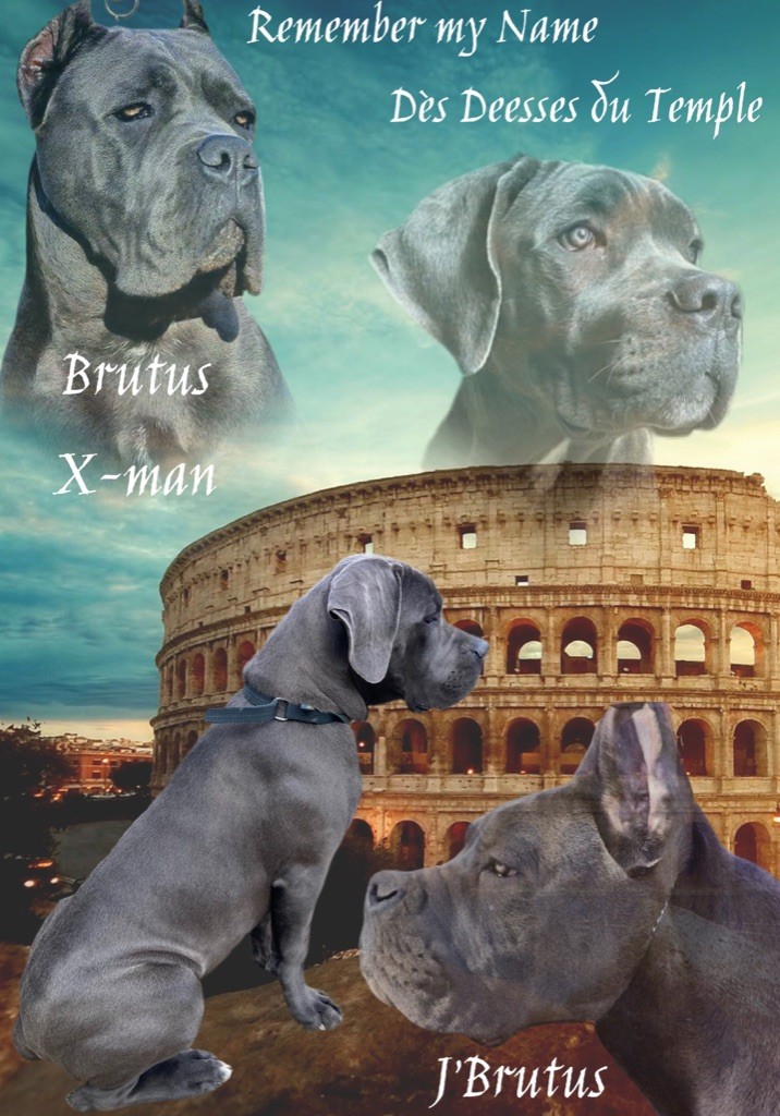 Publication : Du Clan De L’Eau D’Evi