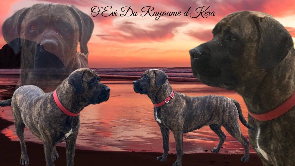 Publication : Du Clan De L’Eau D’Evi 