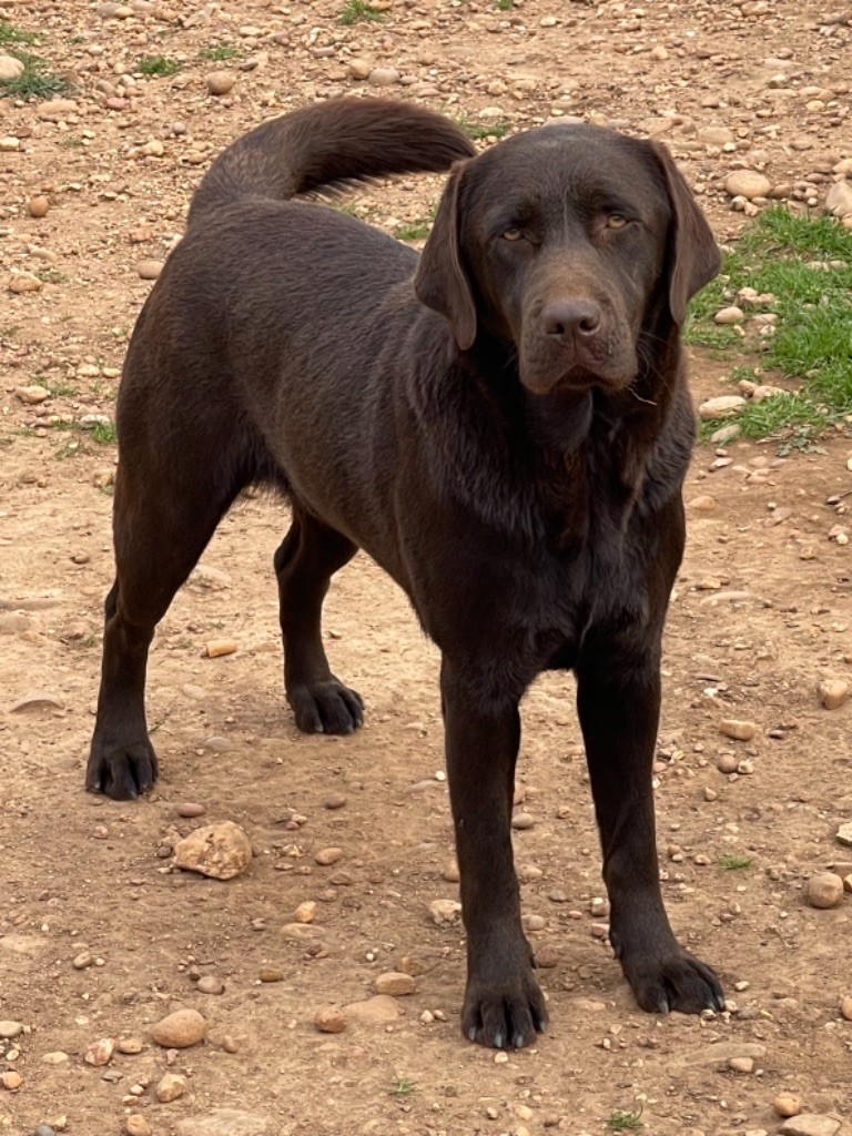 Publication : du clos du barrian