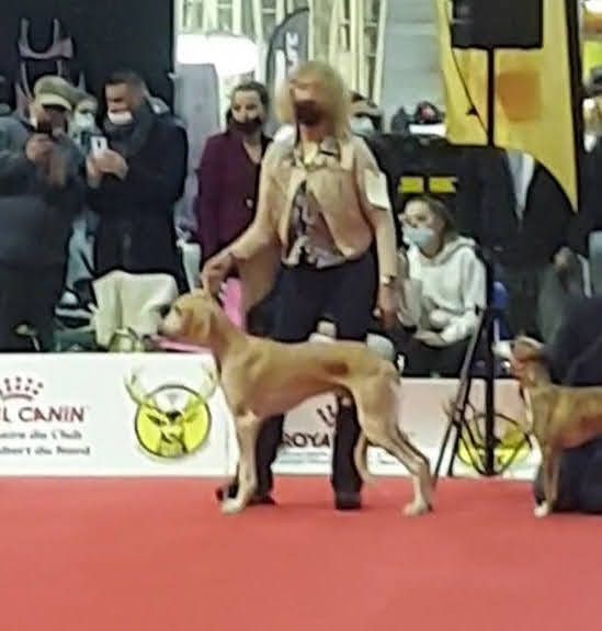 Publication : Al Hfifa Saluk Auteur : ll