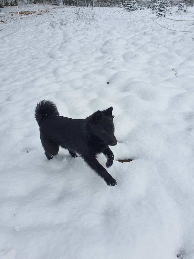 Publication : des petites créatures divines