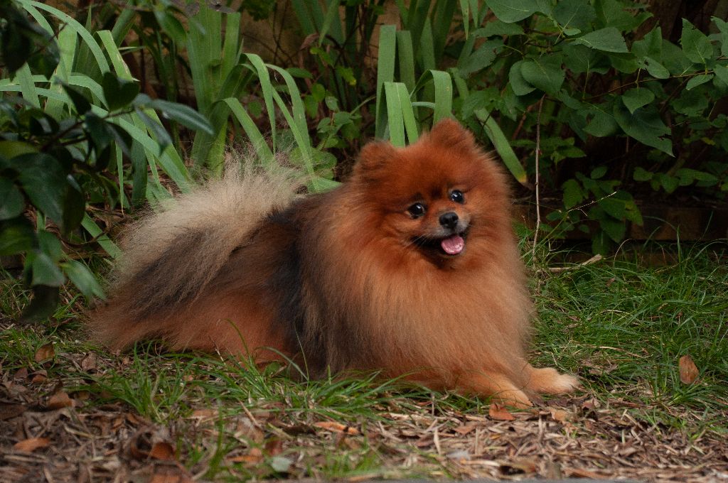 Publication : Du Domaine Du Prieure De Cayac Auteur : Domaine Du PrieurÃ© De Cayac