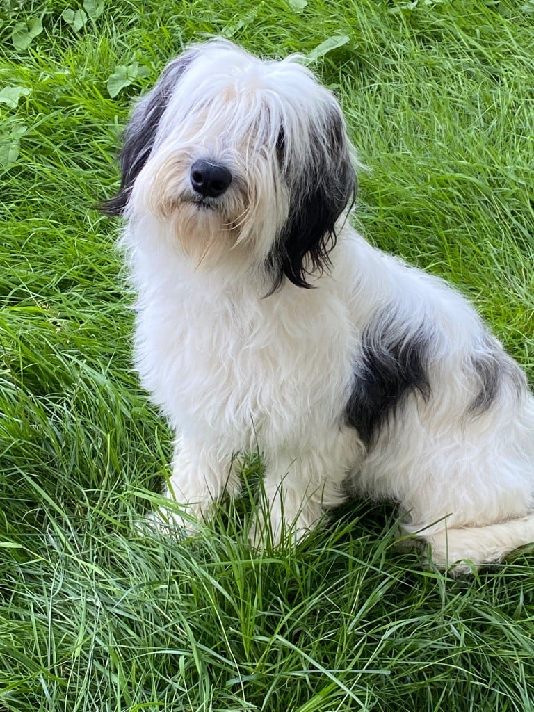 Publication : du hameau des bergers 