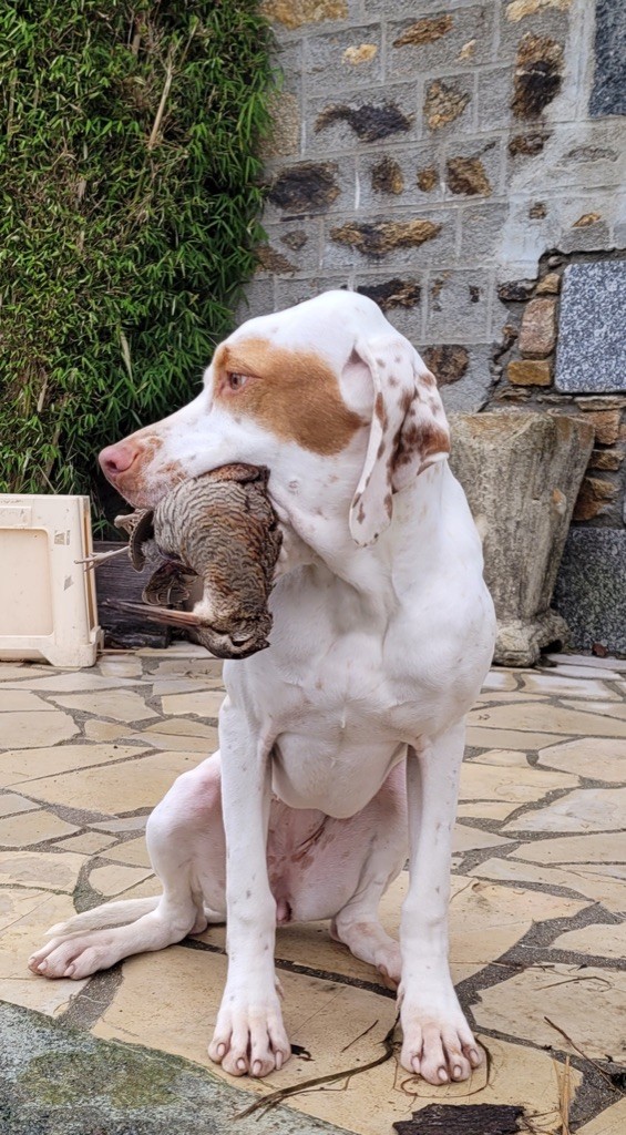 Publication : Du Domaine D’Avaugour Auteur : Domaine d?Avaugour