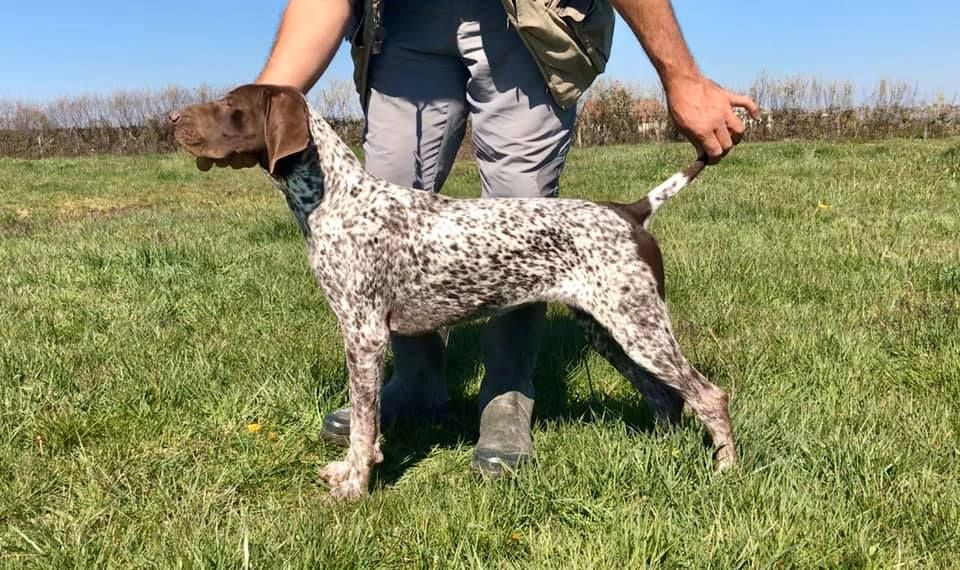 Publication : Du Rio Parana 