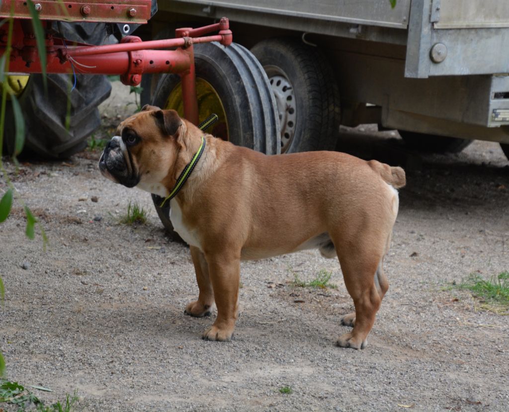 Publication : Des legendes de zazelle 