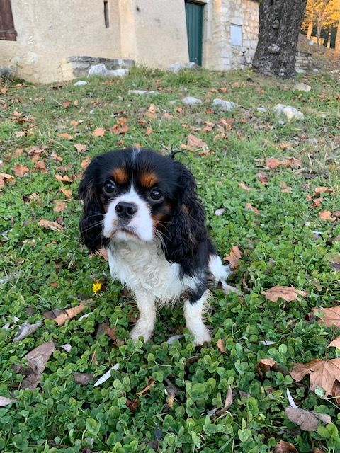 Publication : Du Vallon De Zaltana