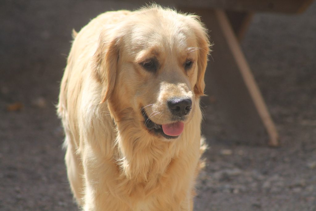 Publication : De L'Arche De Lolita 