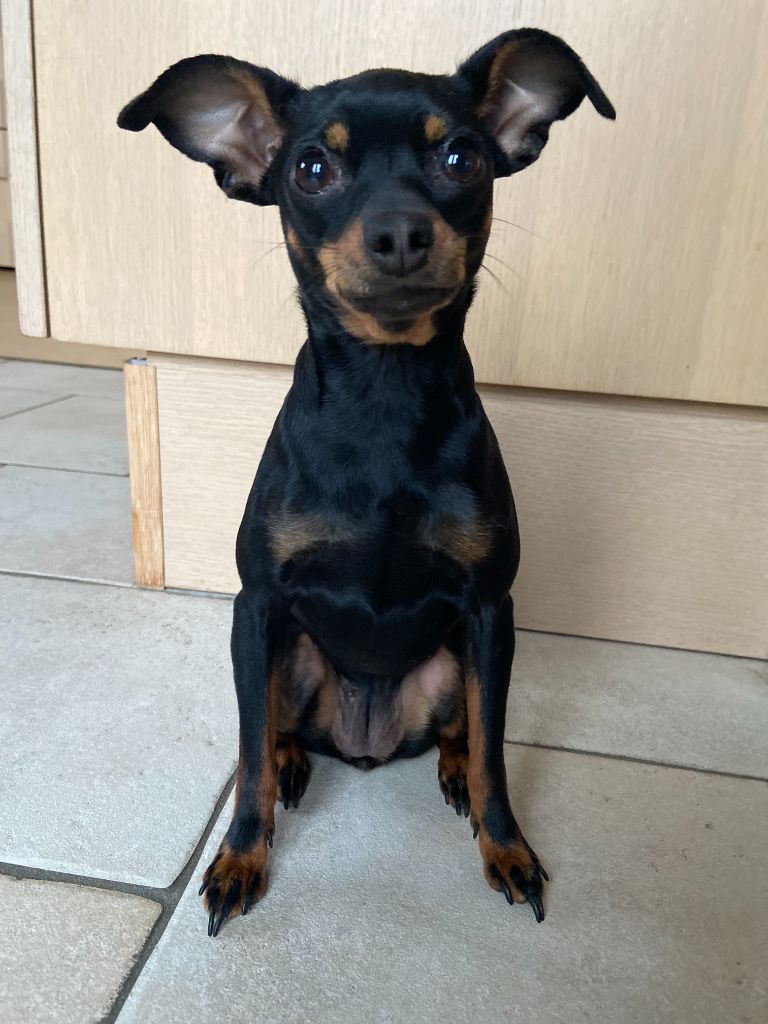 Publication : (Sans Affixe) 