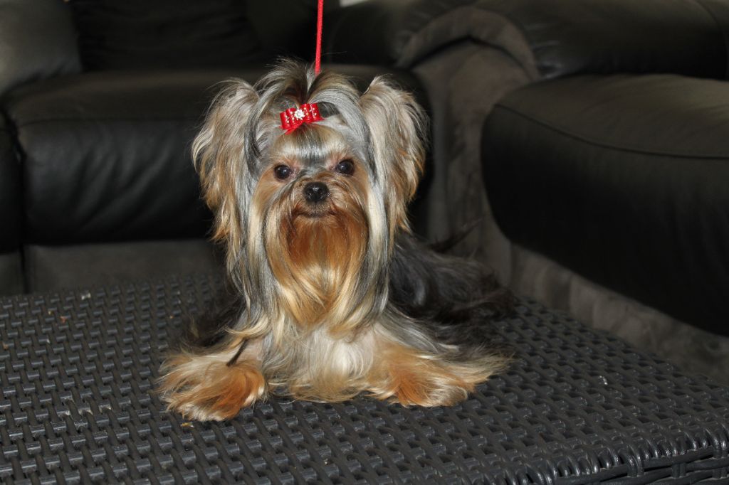 Publication : Des P'tits Bouts D'amour Auteur : kles baya