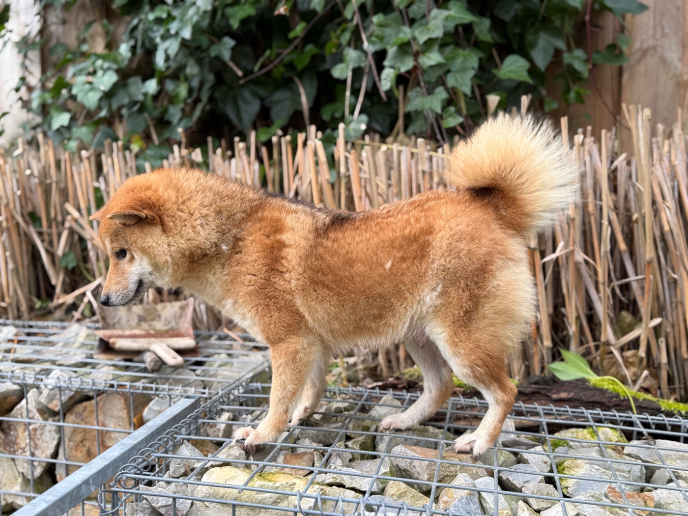 Publication : du Domaine du Clos Benoît 