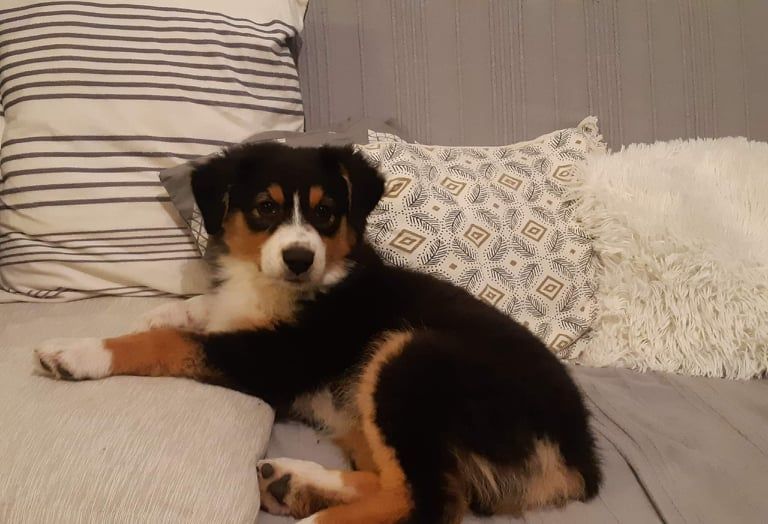 Publication : Aenor's