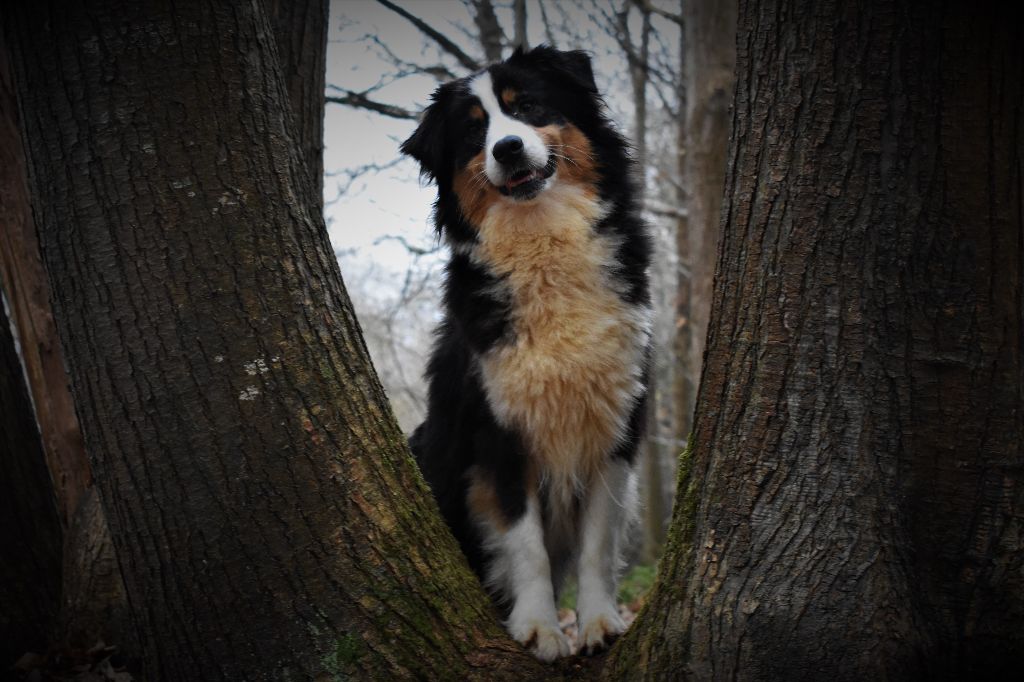 Publication : des Jardins de Persephone 