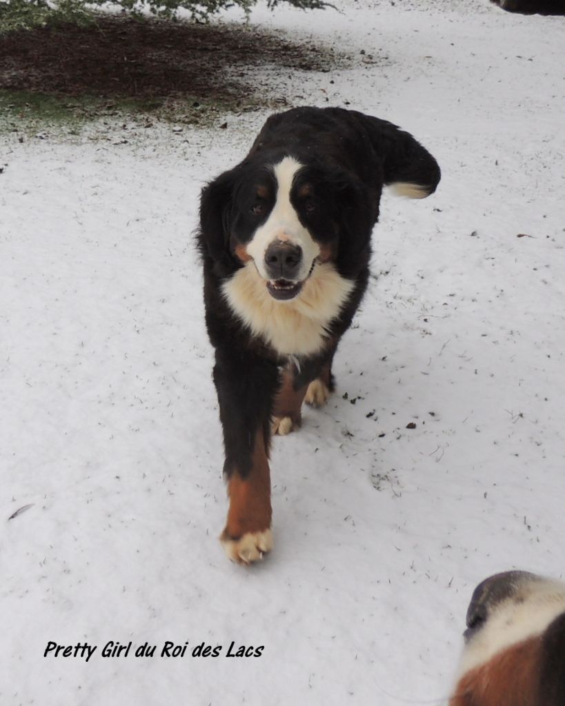 Publication : du roi des lacs Auteur : M