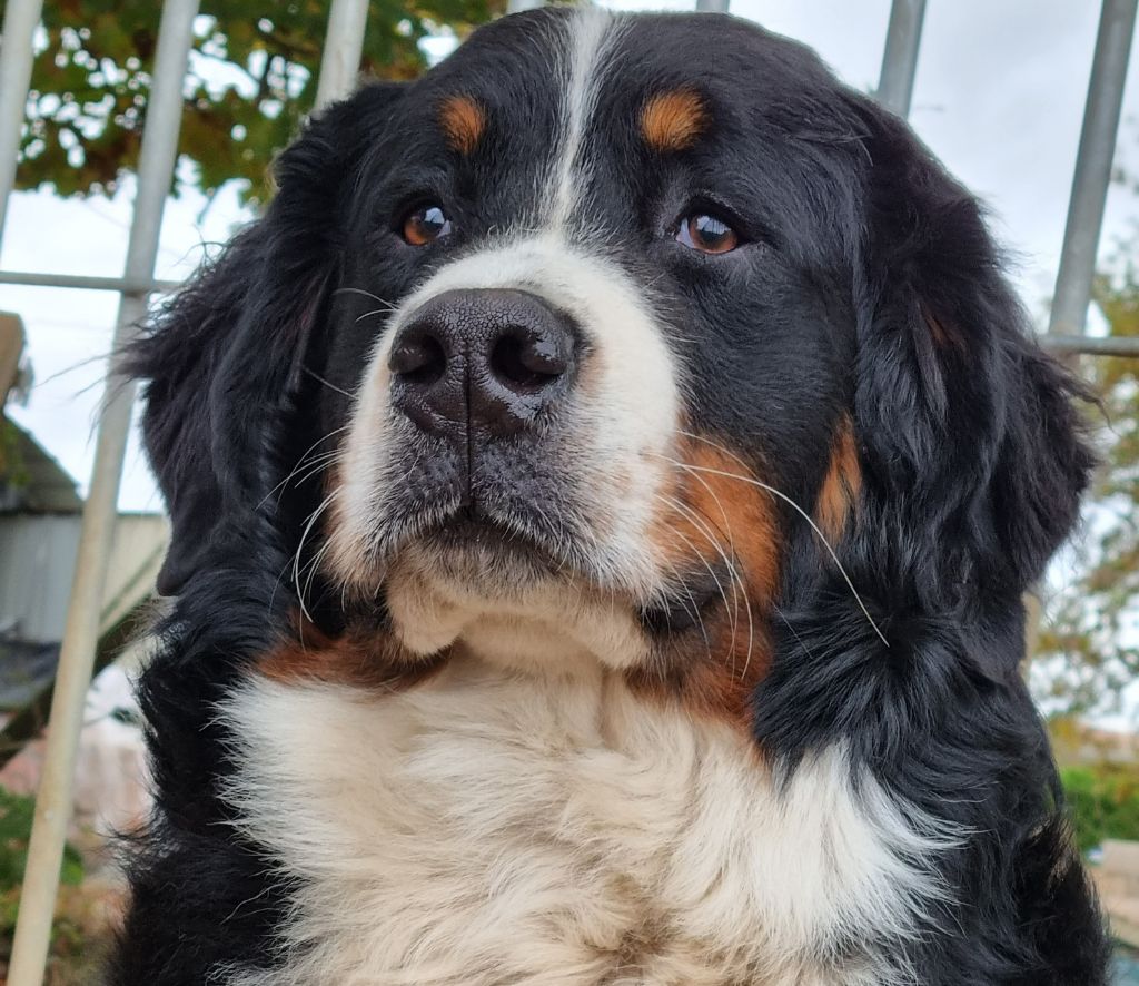 Publication : du Paradis du Domaine du Bouquet